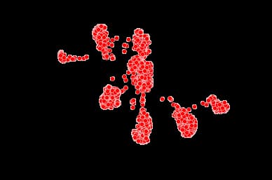 Network graph visualization