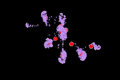 Betweenness centrality visualization