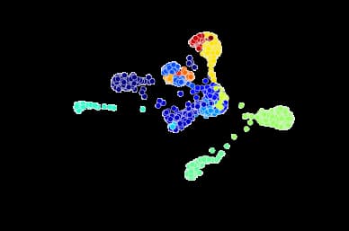 Community detection visualization