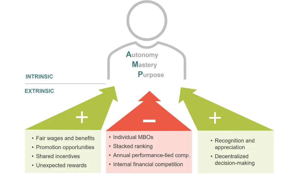 Intrinsic and Extrinsic motivation summary